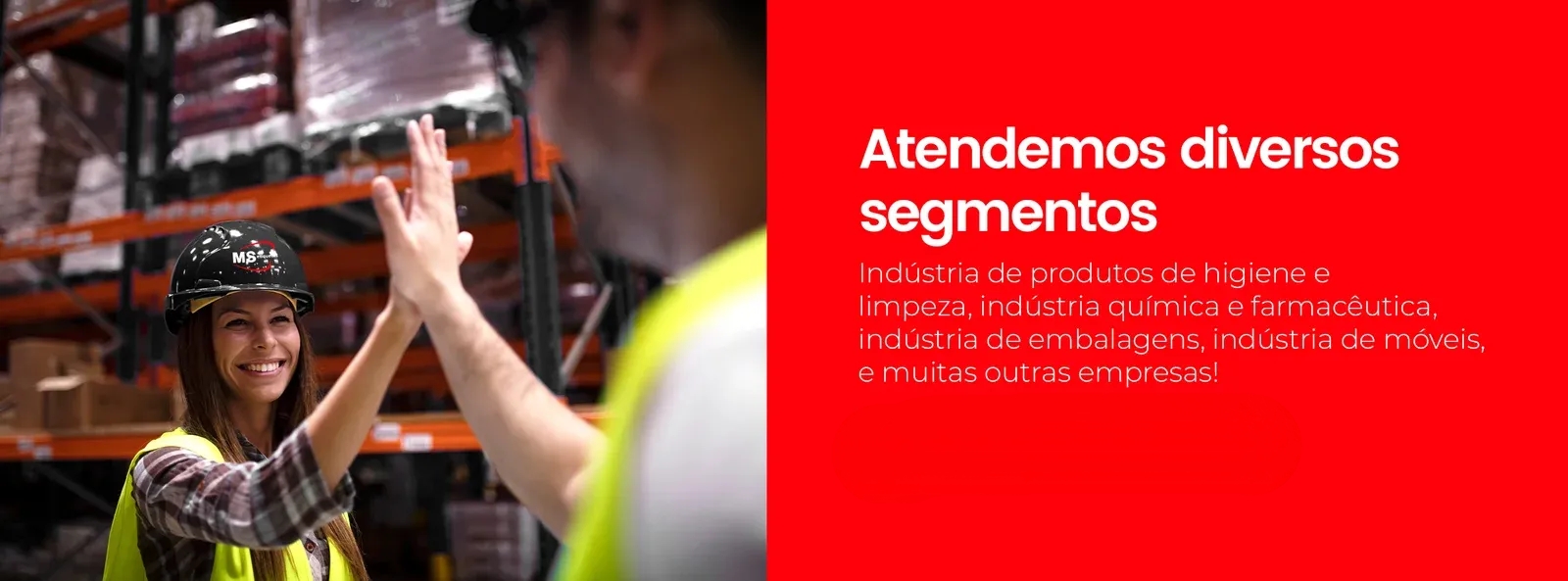 MS Etiquetas - Soluções em Ribbons, Etiquetas e Rotulagem